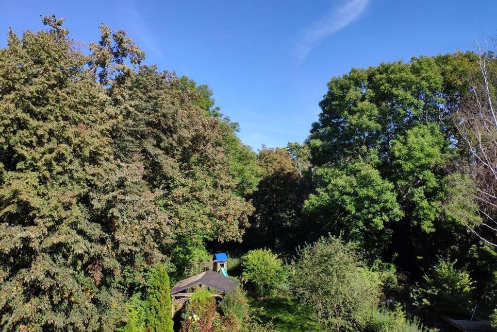 Ferienwohnung Mit 123Qm Fuer 8 Personen Mit Sehr Grossem Garten, Einfache Innen-Ausstattung Leipzig Exterior photo